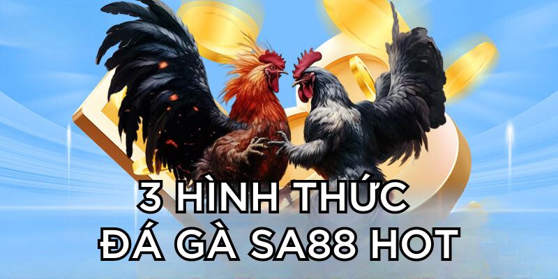 3 hình thức chọi gà SA88 HOT